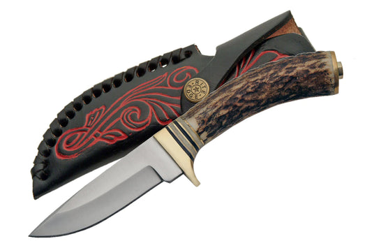 8.5" WHITE TAIL SKINNER WITH STAG HANDLE